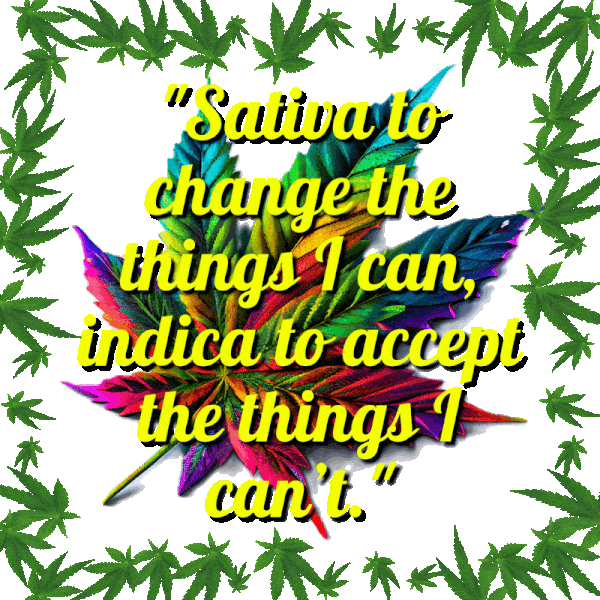 Sativa_Indica things I can